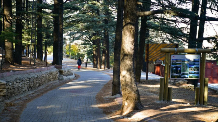 Oksijenin Başkenti: Kızıldağ Milli Parkı