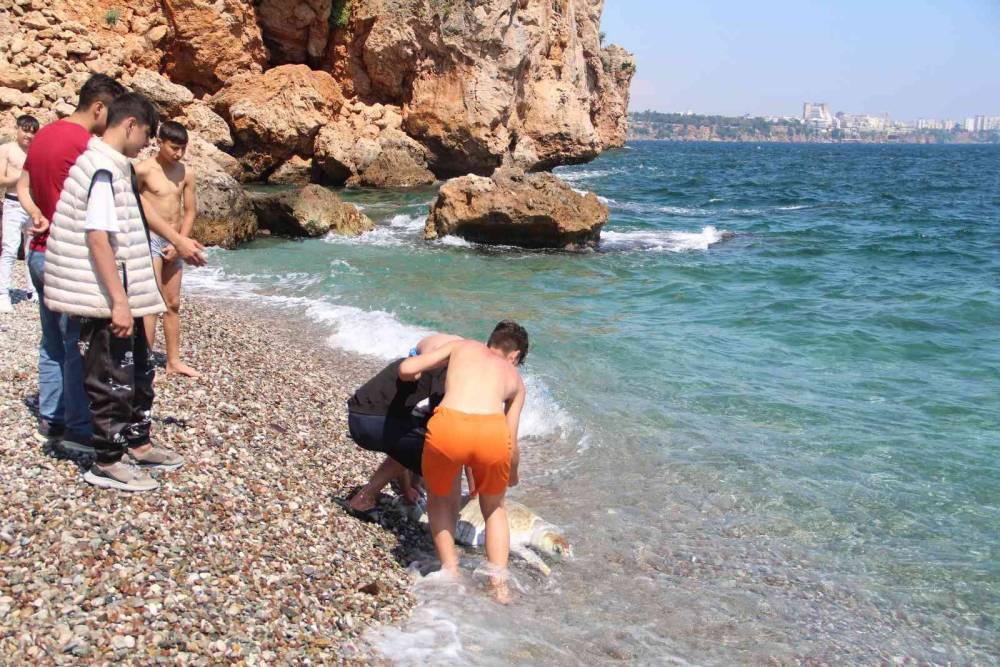 Antalya’da dünyaca ünlü sahile ölü caretta caretta vurdu
