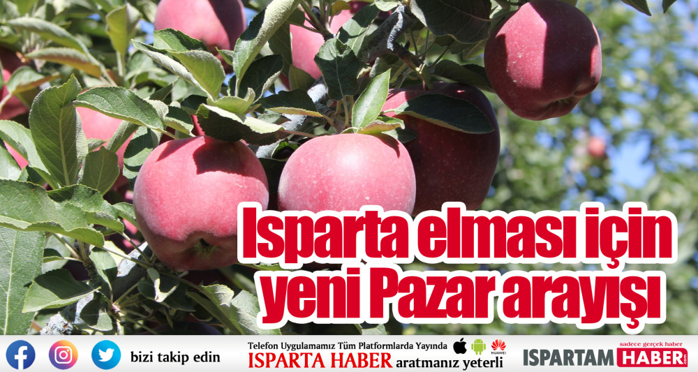 Isparta elması için yeni Pazar arayışı