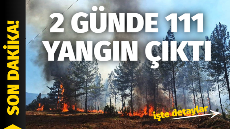 İletişim Başkanlığı, son iki gün içerisinde 49’u orman olmak üzere